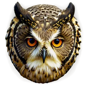 Owl Profile Png 79 PNG image