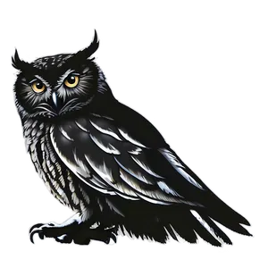 Owl Silhouette Png 05062024 PNG image