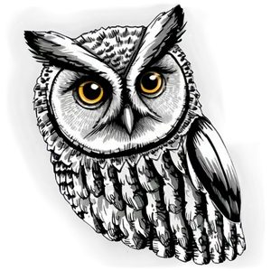 Owl Sketch Png Tmc PNG image