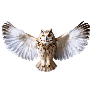 Owl Wings Spread Png Elu34 PNG image