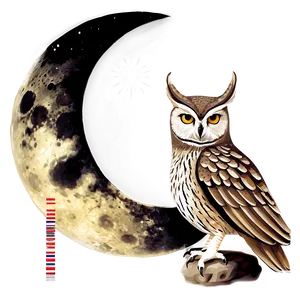 Owl With Moon Png 05062024 PNG image