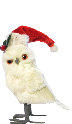 Owlin Santa Hat PNG image