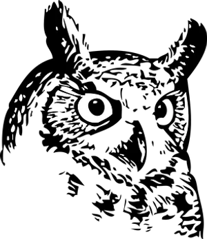 Owlinthe Dark Artwork PNG image