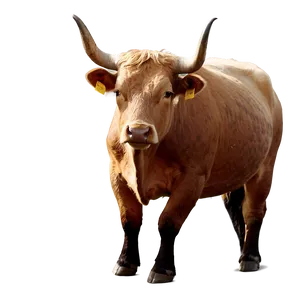 Ox C PNG image