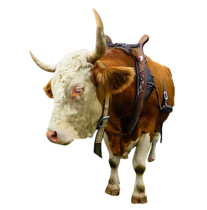 Oxin Harness Profile View