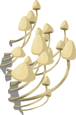 Oyster Mushroom Cluster Illustration PNG image