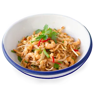 Pad Thai With Cilantro Finish Png 06252024 PNG image