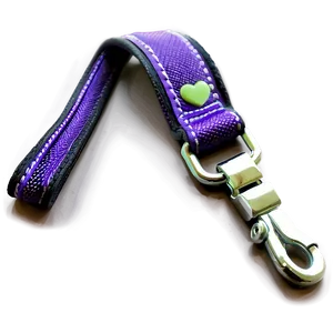 Padded Handle Dog Leash PNG 06132024 PNG
