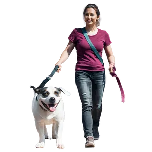 Padded Handle Dog Leash PNG Cmf72 PNG