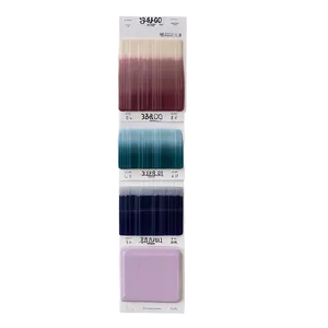 Paint Swatch For Bathroom Png 06132024 PNG image