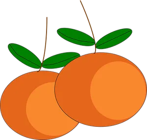 Pair_of_ Oranges_ Vector_ Illustration PNG image