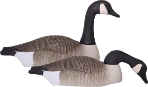 Pairof Canada Geese Decoys PNG image