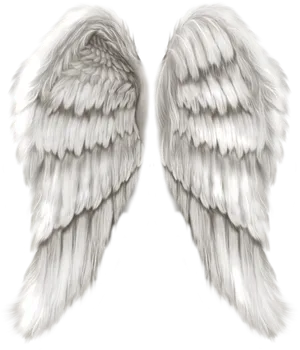 Pairof White Angel Wings