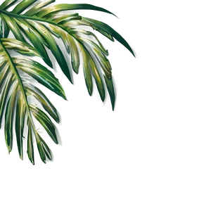 Palm Leaf Border Png Gem PNG image