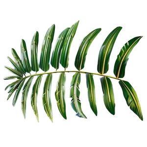Palm Leaves Arrangement PNG Nyb47 PNG