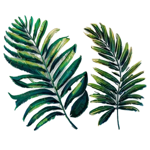 Palm Leaves Art PNG Mru82