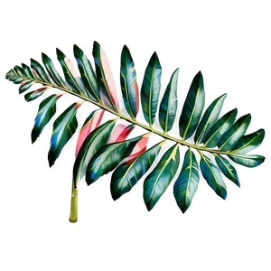 Palm Leaves Art PNG Phh