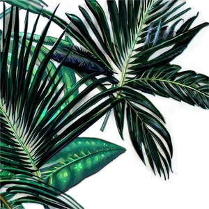 Palm Leaves Background PNG Lct61