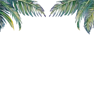 Palm Leaves Border PNG 71