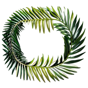 Palm Leaves Border PNG 94