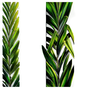 Palm Leaves Border PNG Tcv12