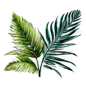 Palm Leaves Bundle PNG 39