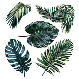 Palm Leaves Bundle PNG Ejk