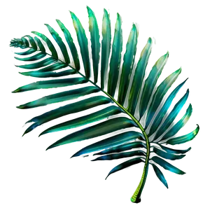 Palm Leaves Bundle PNG Hnl