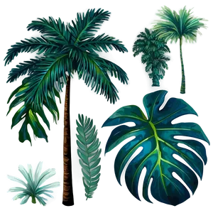 Palm Leaves Clipart PNG 05252024