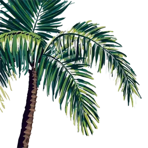 Palm Leaves Clipart PNG 29 PNG