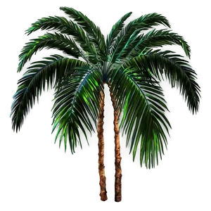 Palm Leaves Collection PNG 57 PNG