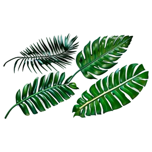 Palm Leaves Collection PNG Rcb6 PNG