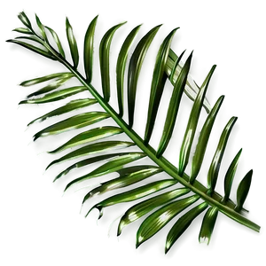Palm Leaves Collection PNG Sgp17 PNG
