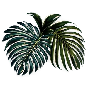 Palm Leaves Composition PNG 05252024 PNG