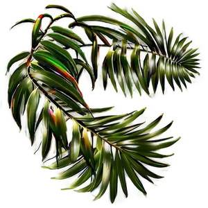 Palm Leaves Decoration PNG 05252024
