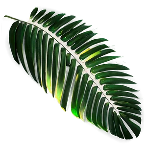 Palm Leaves Decoration PNG 86