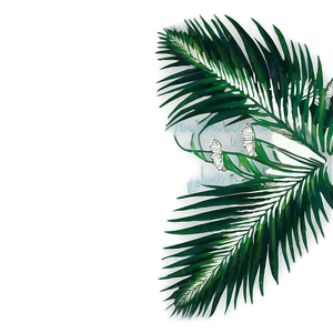 Palm Leaves Design PNG 05252024