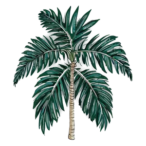 Palm Leaves Drawing PNG 90