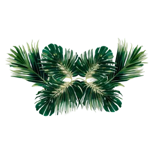Palm Leaves Frame PNG 94