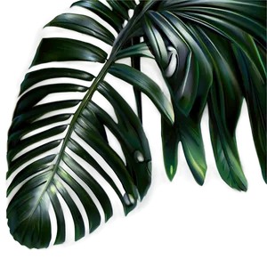 Palm Leaves Icon Png 05252024 PNG image