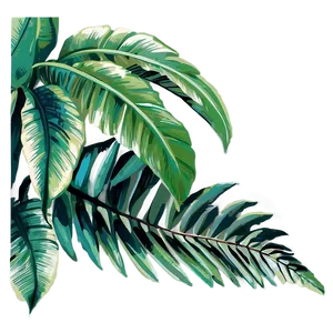 Palm Leaves Illustration Png 50 PNG image