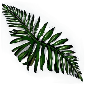 Palm Leaves Illustration Png Hqk PNG image