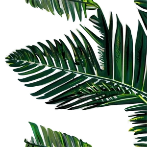 Palm Leaves Outline PNG Afo