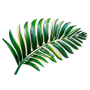 Palm Leaves Overlay PNG Mnm78