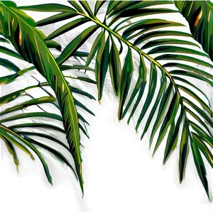 Palm Leaves Pattern PNG 05252024