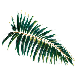 Palm Leaves PNG 80