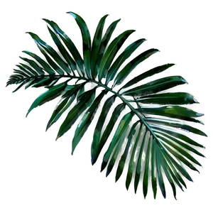 Palm Leaves PNG Acm