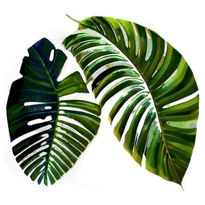 Palm Leaves PNG Fwj82