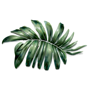 Palm Leaves Print PNG 05252024