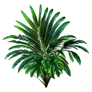 Palm Leaves Seamless PNG Cxk5 PNG